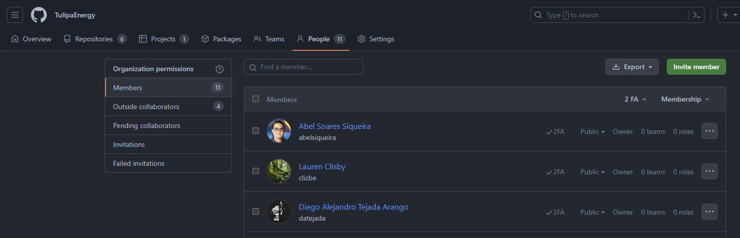 Screenshot of public members of TulipaEnergy on GitHub